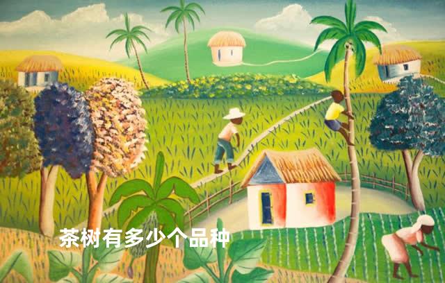 茶树有多少个品种
