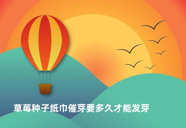 草莓种子纸巾催芽要多久才能发芽