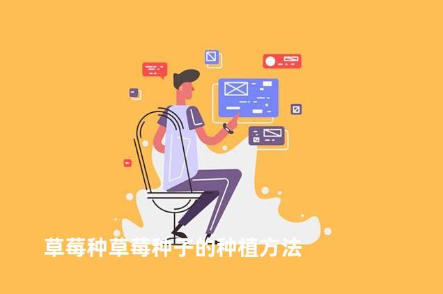 草莓种草莓种子的种植方法