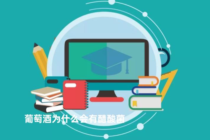 葡萄酒为什么会有醋酸菌