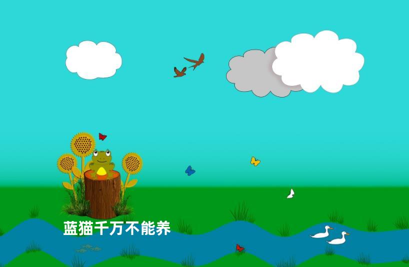 蓝猫千万不能养