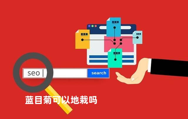 蓝目菊可以地栽吗