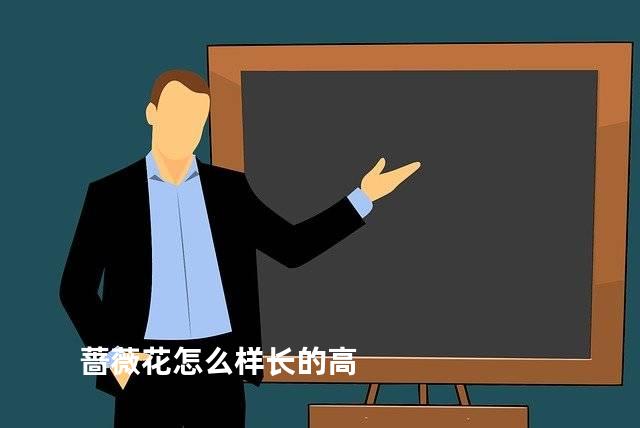 蔷薇花怎么样长的高