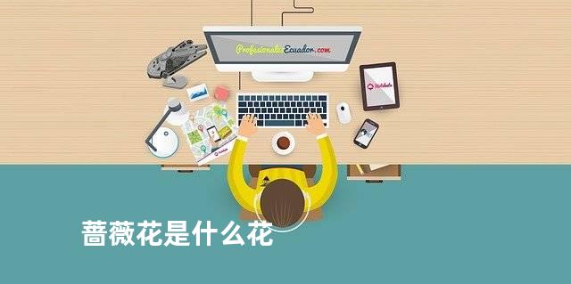 蔷薇花是什么花