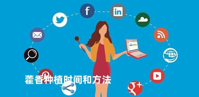 藿香种植时间和方法