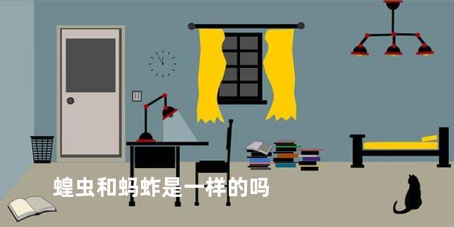 蝗虫和蚂蚱是一样的吗