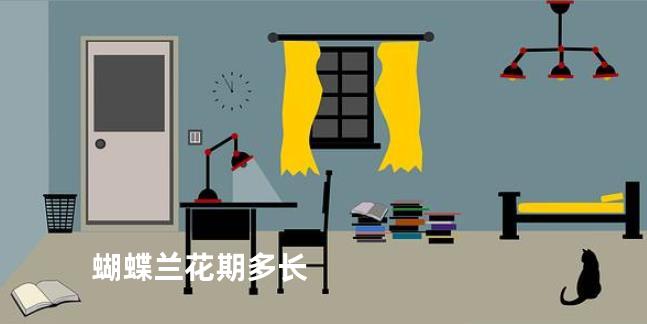 蝴蝶兰花期多长