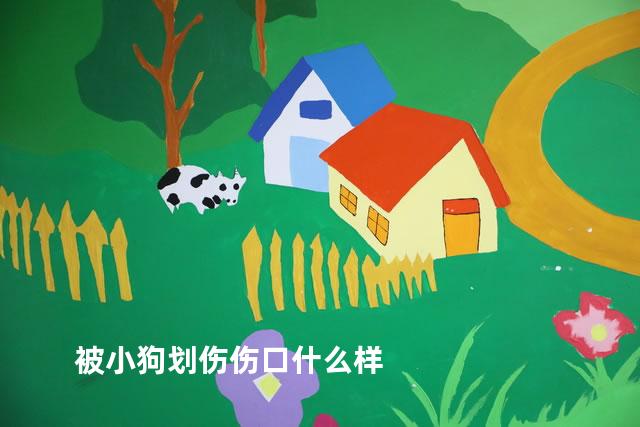 被小狗划伤伤口什么样