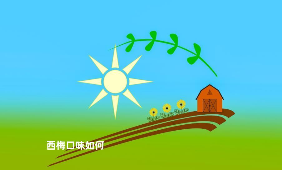 西梅口味如何