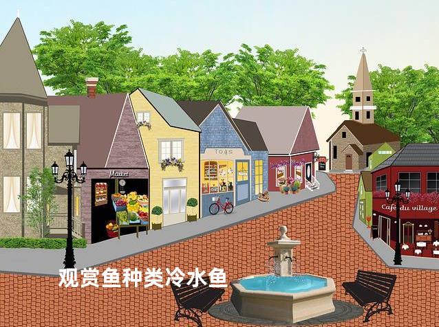 观赏鱼种类冷水鱼