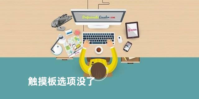 触摸板选项没了