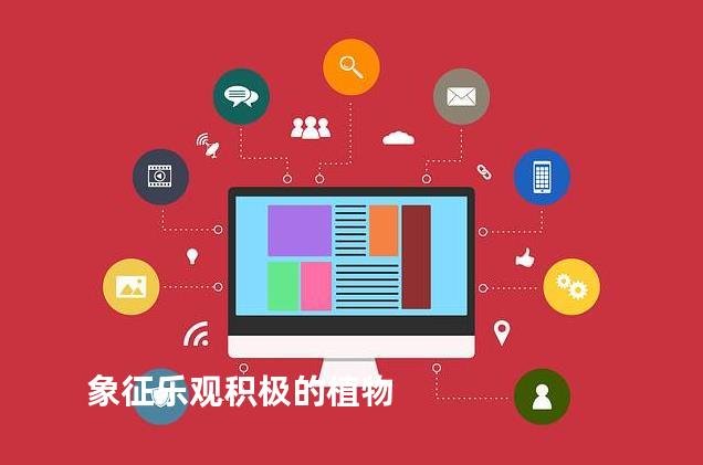 象征乐观积极的植物