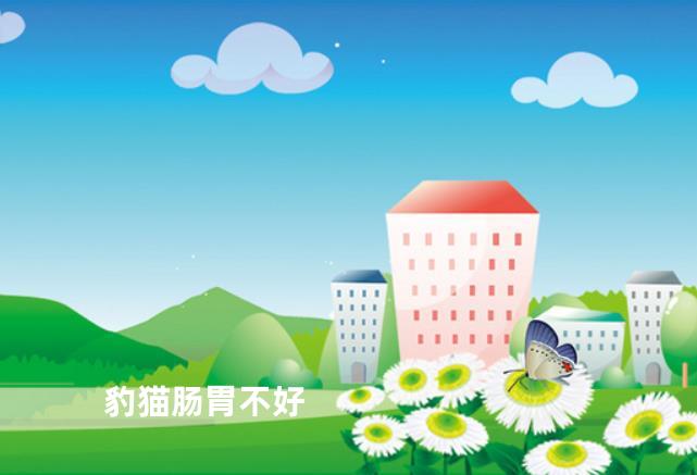 豹猫肠胃不好