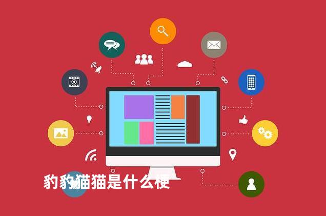 豹豹猫猫是什么梗