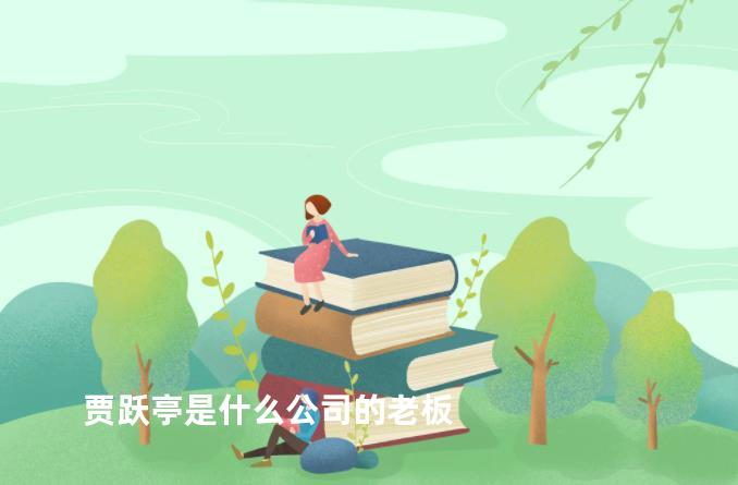 贾跃亭是什么公司的老板