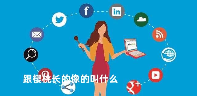 跟樱桃长的像的叫什么