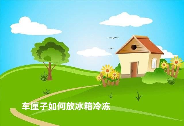 车厘子如何放冰箱冷冻