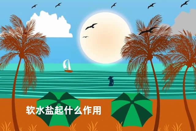 软水盐起什么作用