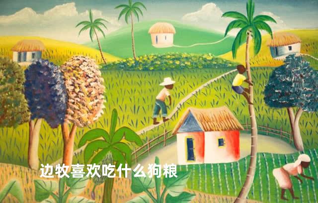 边牧喜欢吃什么狗粮