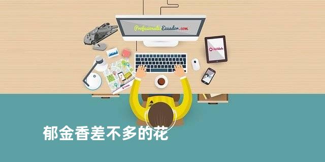 郁金香差不多的花