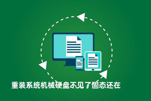 重装系统机械硬盘不见了固态还在