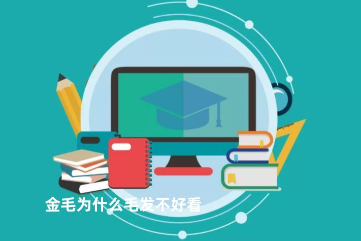 金毛为什么毛发不好看