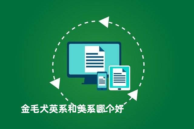 金毛犬英系和美系哪个好