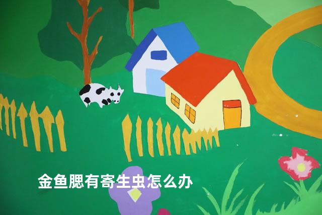 金鱼腮有寄生虫怎么办