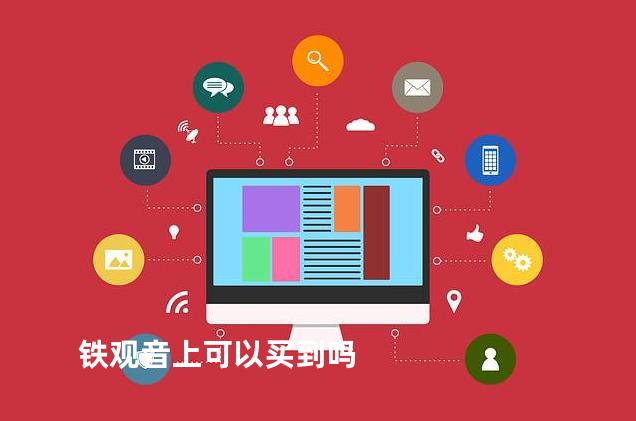 铁观音上可以买到吗