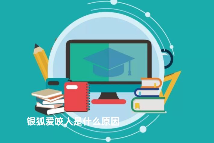 银狐爱咬人是什么原因