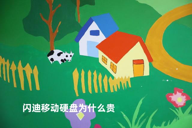 闪迪移动硬盘为什么贵