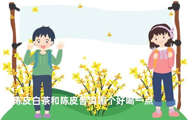 陈皮白茶和陈皮普洱哪个好喝一点