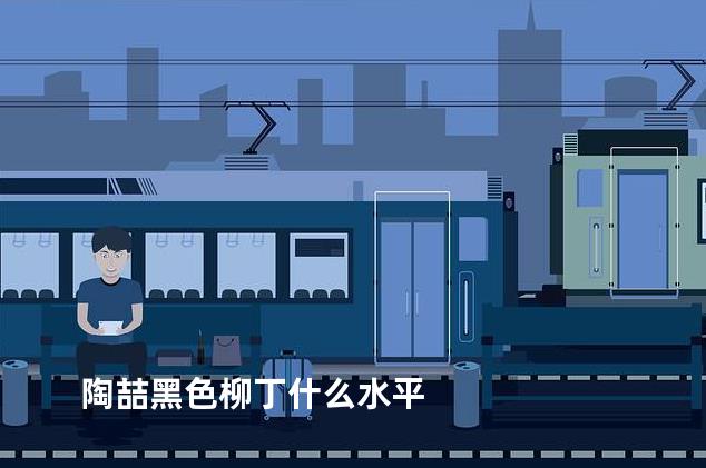 陶喆黑色柳丁什么水平