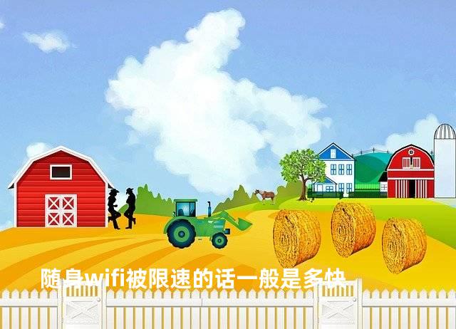 随身wifi被限速的话一般是多快