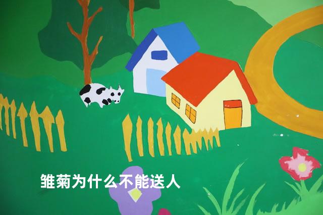 雏菊为什么不能送人