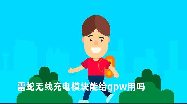 雷蛇无线充电模块能给gpw用吗