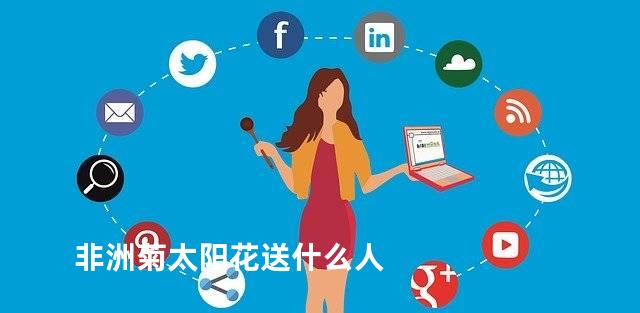 非洲菊太阳花送什么人