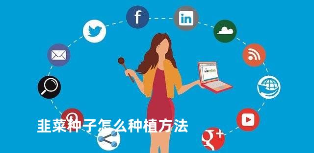 韭菜种子怎么种植方法