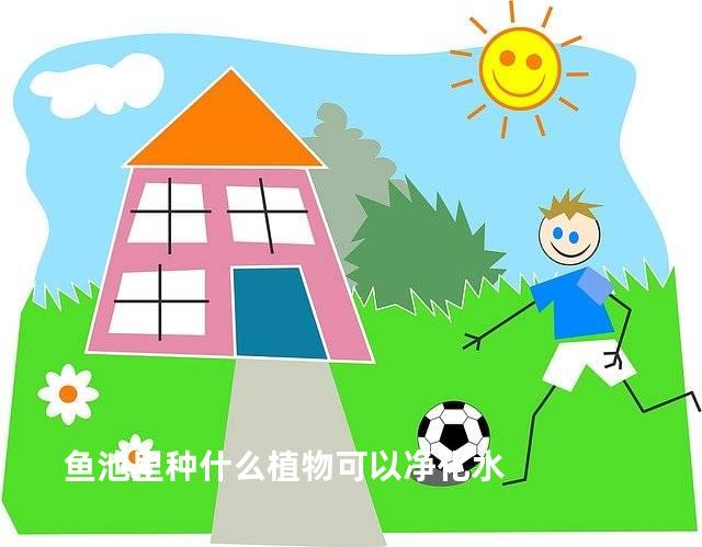 鱼池里种什么植物可以净化水