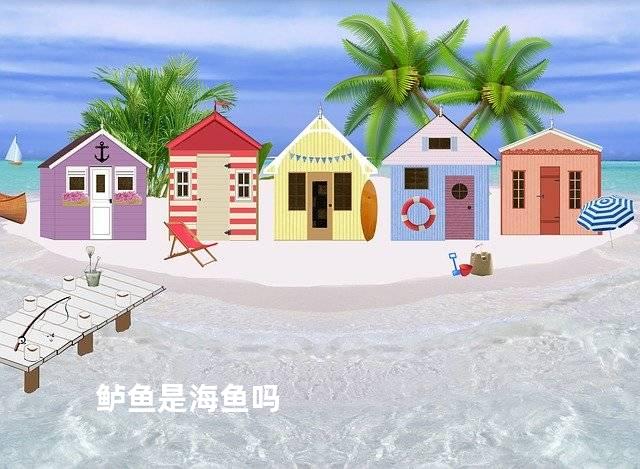 鲈鱼是海鱼吗