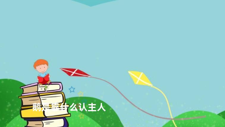 鹅是靠什么认主人