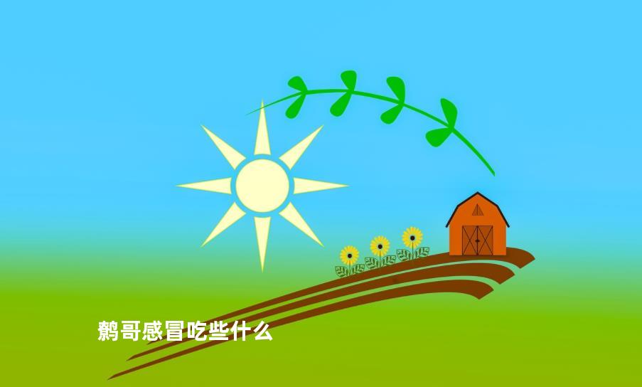 鹩哥感冒吃些什么