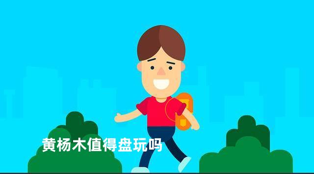 黄杨木值得盘玩吗