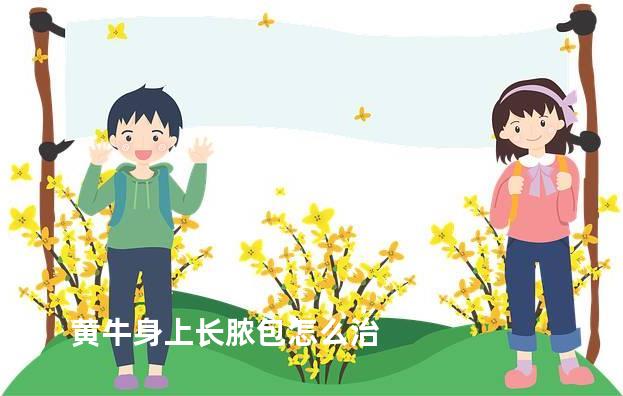 黄牛身上长脓包怎么治