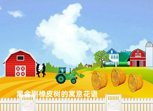 黑金刚橡皮树的寓意花语