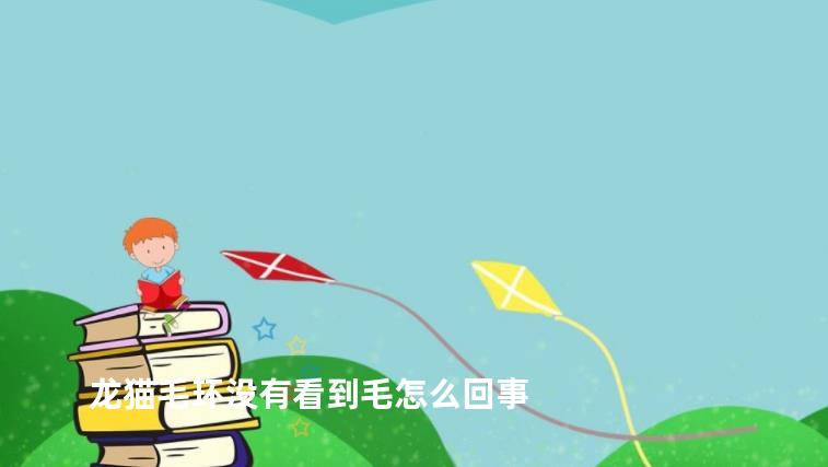 龙猫毛环没有看到毛怎么回事