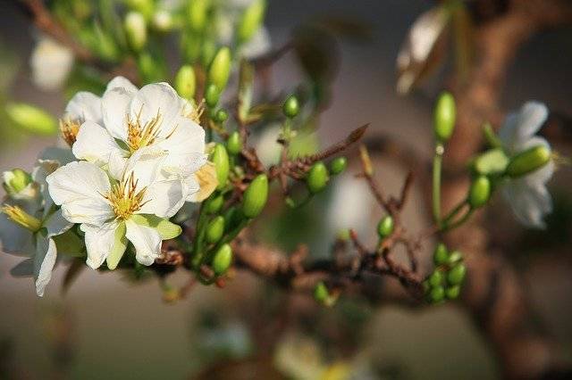 2026年最新假期安排有哪些变化？春节连休9天