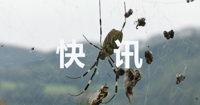 特朗普带货手表再现尴尬