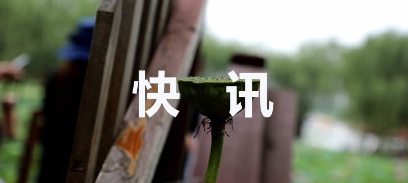 营销号借315热点造假红榜牟利 监管部门迅速行动