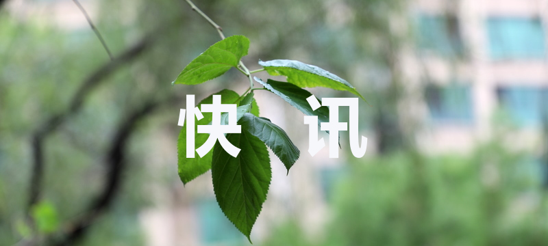 高速惊险一幕：“刀片超车”致两车瞬间报废